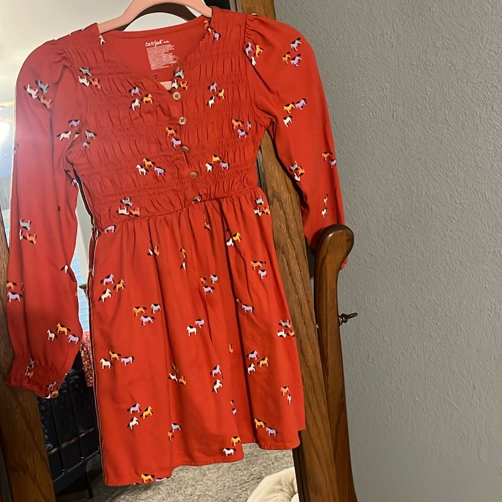 Fall little girls lightweight dress.